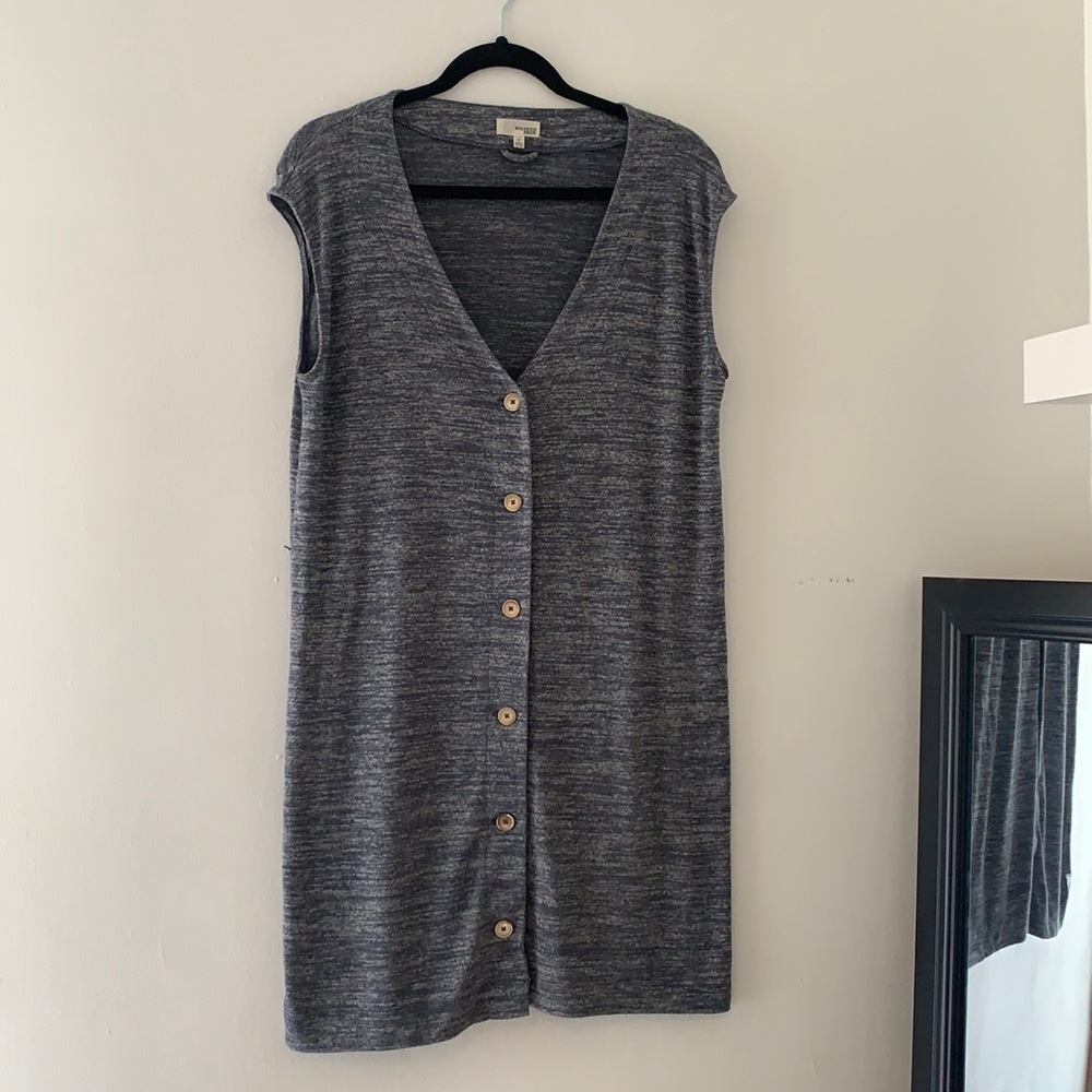 Aritzia Wilfred Free Dress